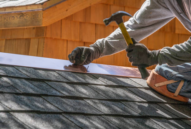 Best Roof Ventilation Installation  in Lonville, GA