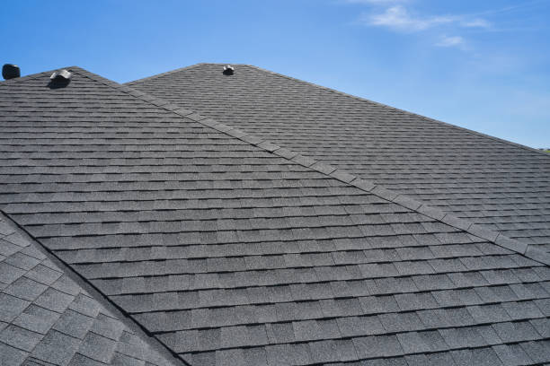 Best Gutter Installation and Repair  in Lonville, GA